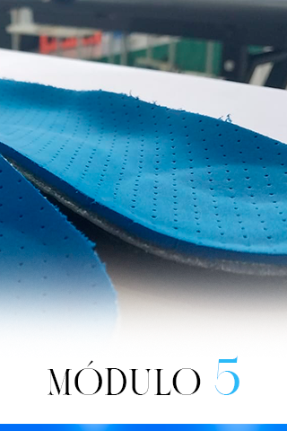 Módulo 5 (28)